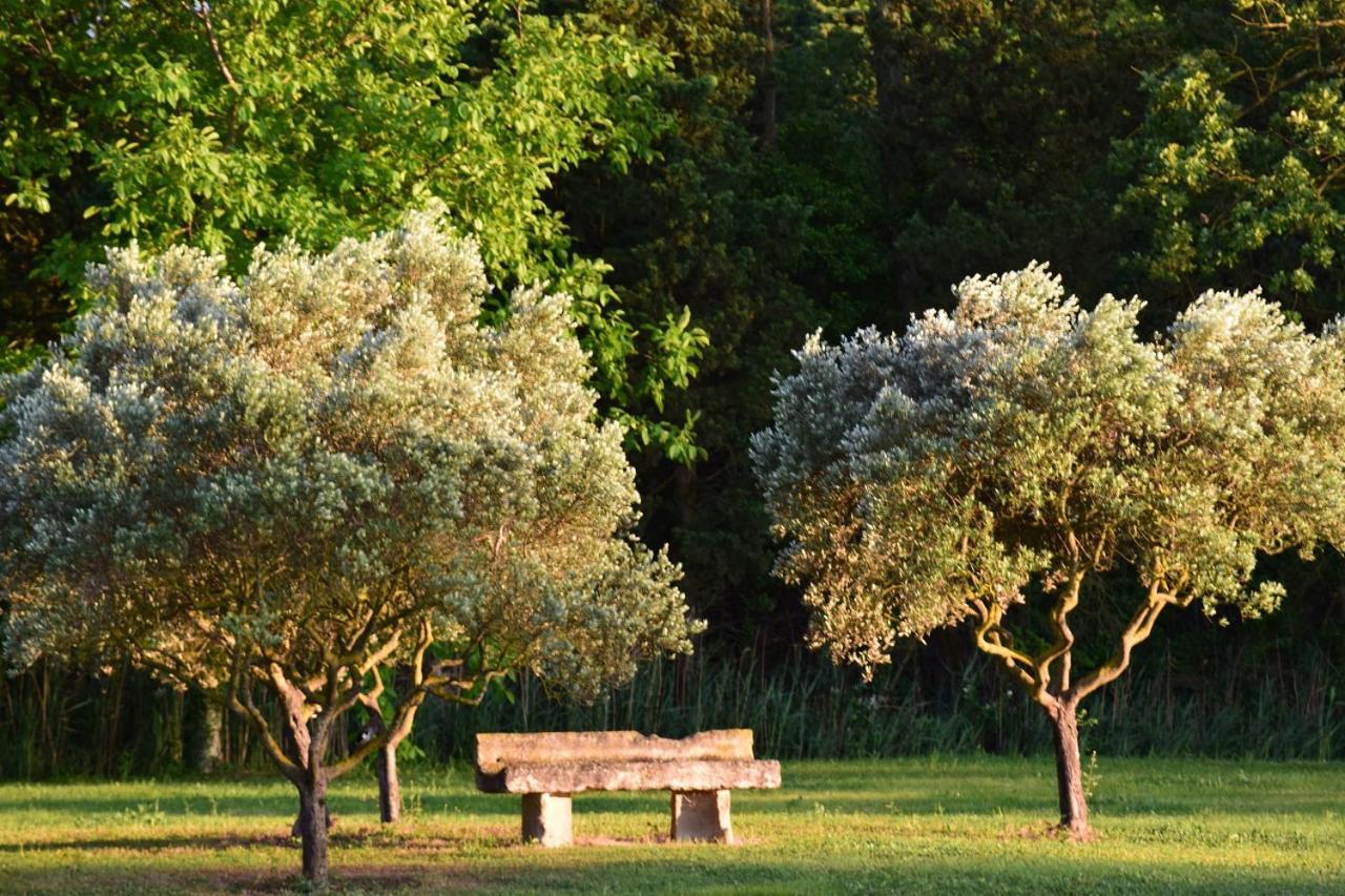 La Bastide Des Amouriers Caumont-sur-Durance Εξωτερικό φωτογραφία