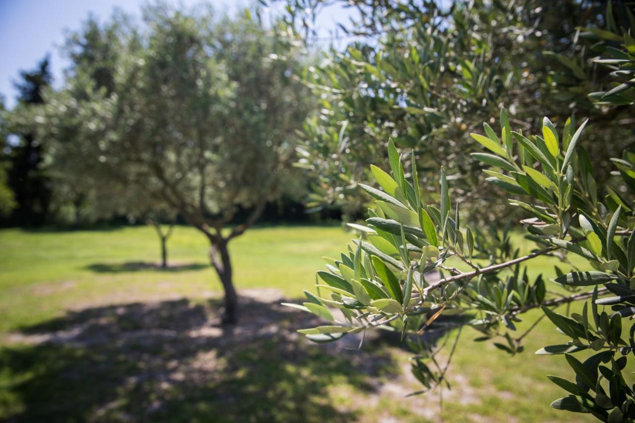 La Bastide Des Amouriers Caumont-sur-Durance Εξωτερικό φωτογραφία