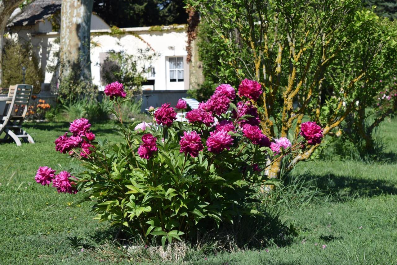 La Bastide Des Amouriers Caumont-sur-Durance Εξωτερικό φωτογραφία